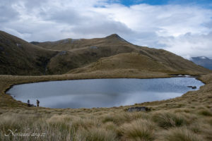 Fiorland, MT Burn Tops