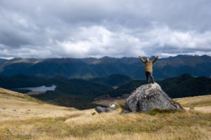 Mt Burn track