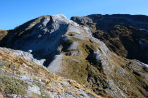 Mount Arthur2