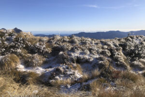 MountHikurangi14