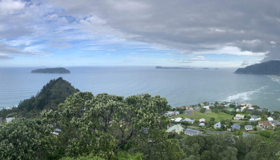 Coromandel3