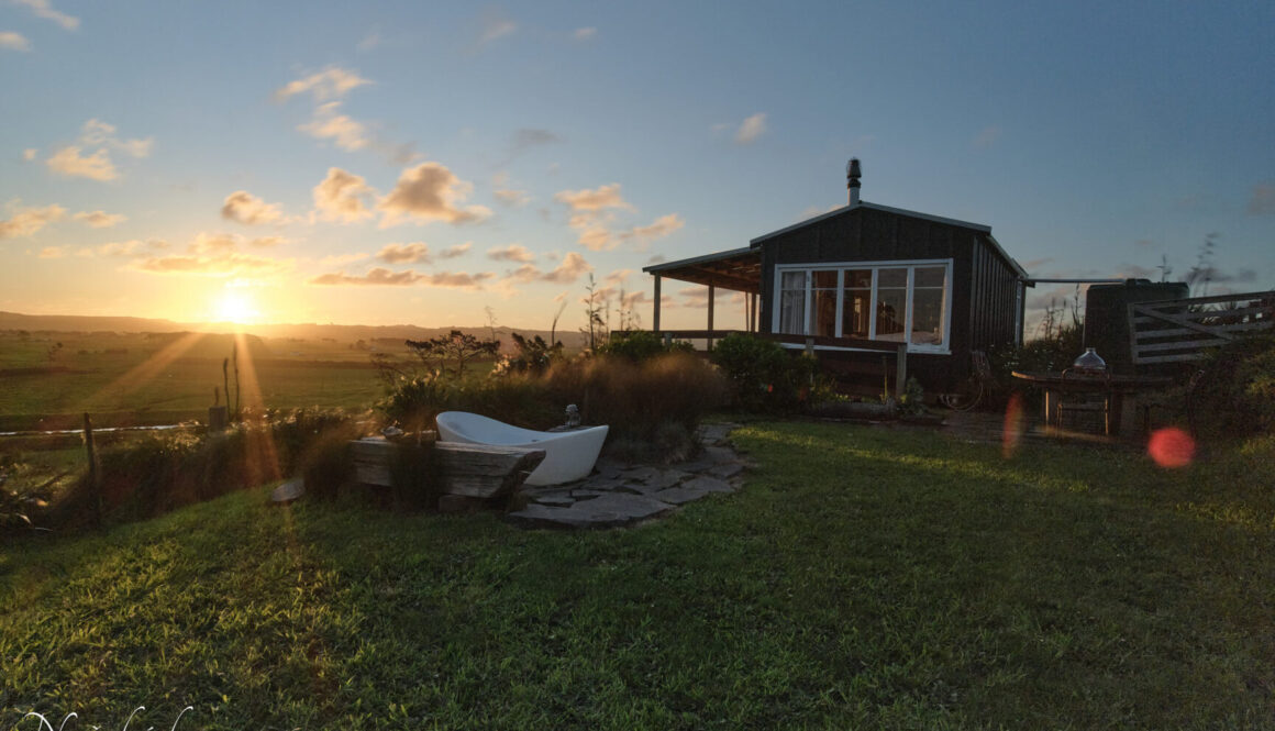 Te Papa Eco Cottage3