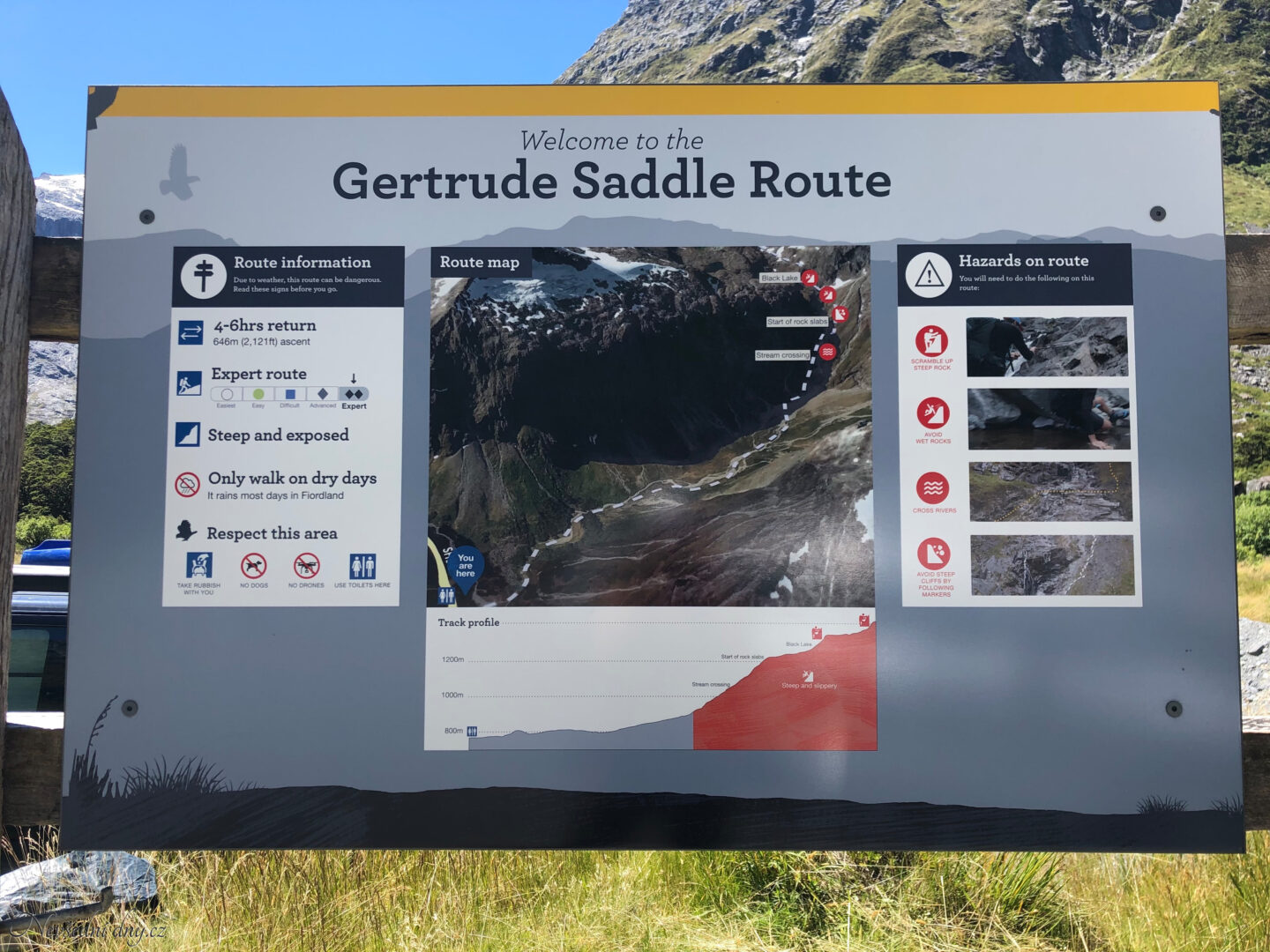 Gertrude Saddle