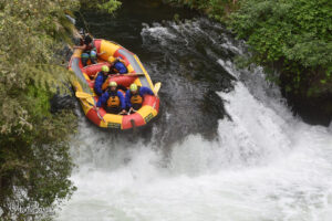 Raft3.1